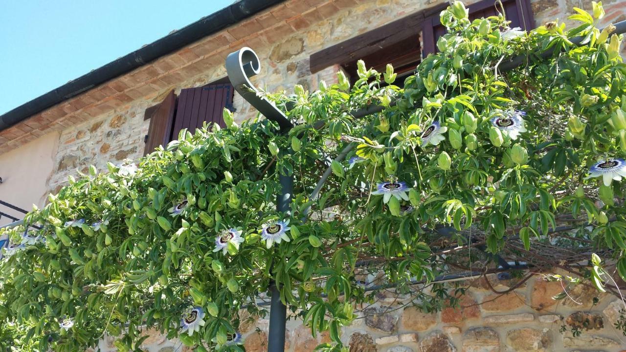 Agriturismo Podere San Lorenzo 1866 Massa Marittima Exteriér fotografie